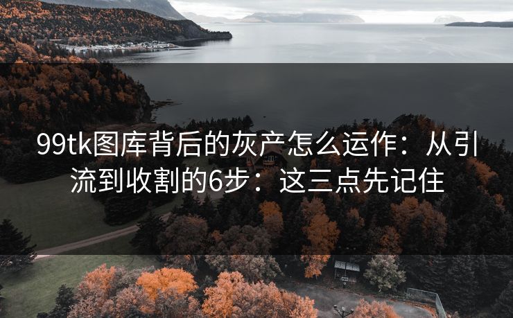 99tk图库背后的灰产怎么运作：从引流到收割的6步：这三点先记住