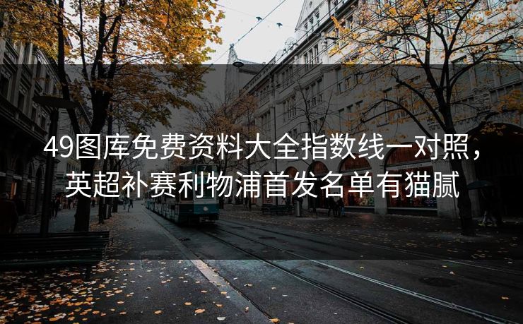 49图库免费资料大全指数线一对照，英超补赛利物浦首发名单有猫腻