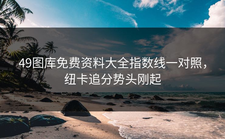 49图库免费资料大全指数线一对照，纽卡追分势头刚起