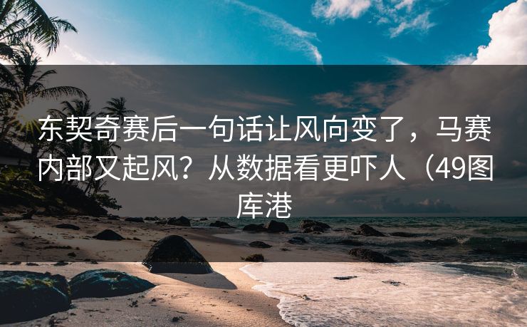东契奇赛后一句话让风向变了，马赛内部又起风？从数据看更吓人（49图库港