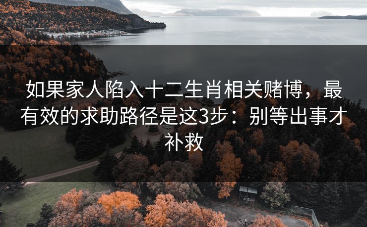 如果家人陷入十二生肖相关赌博，最有效的求助路径是这3步：别等出事才补救