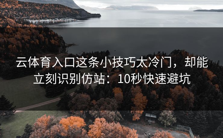 云体育入口这条小技巧太冷门，却能立刻识别仿站：10秒快速避坑